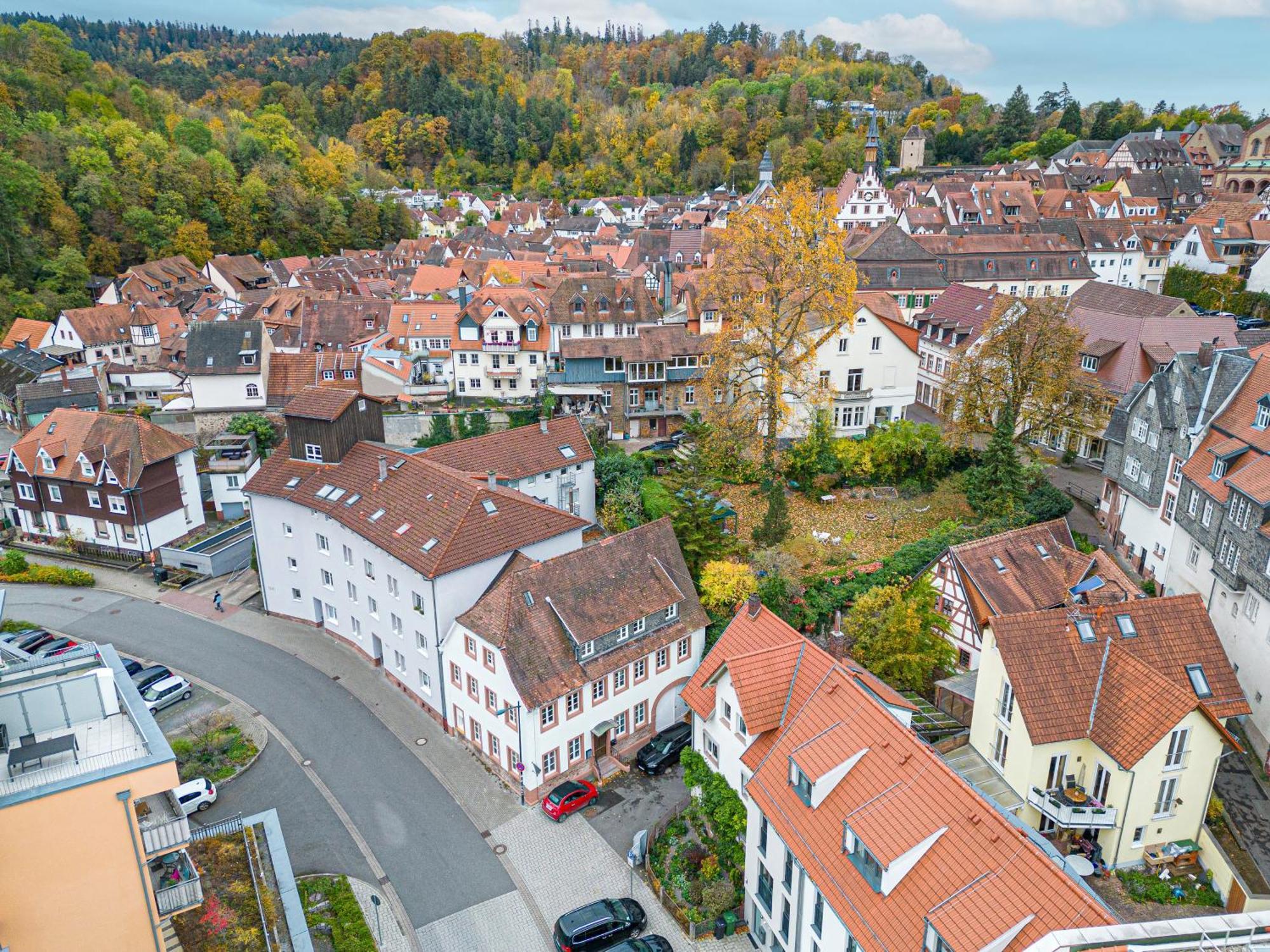 Lit Living Weinheim Altstadt - Boutique Apartments - Parking Екстериор снимка