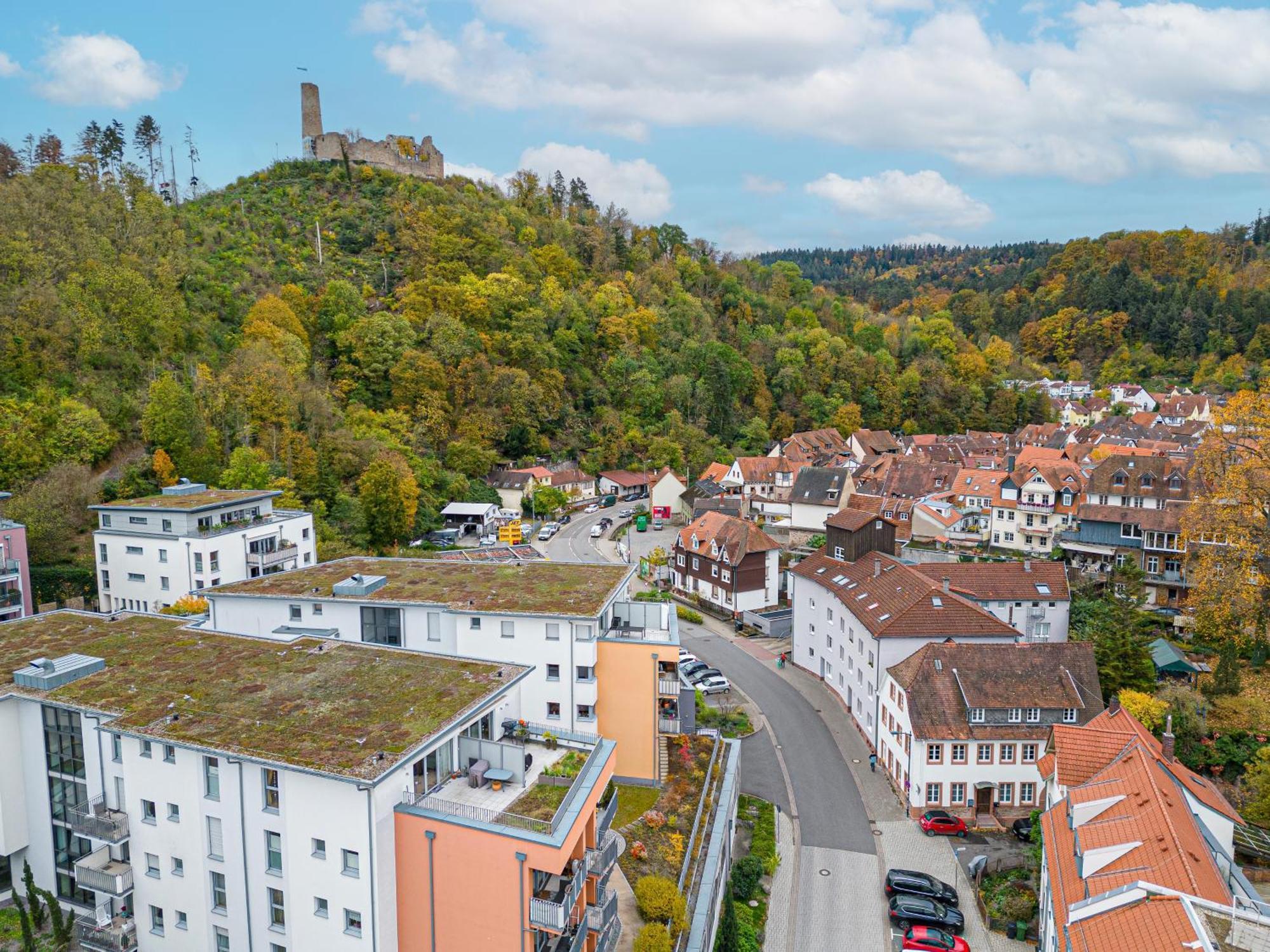 Lit Living Weinheim Altstadt - Boutique Apartments - Parking Екстериор снимка